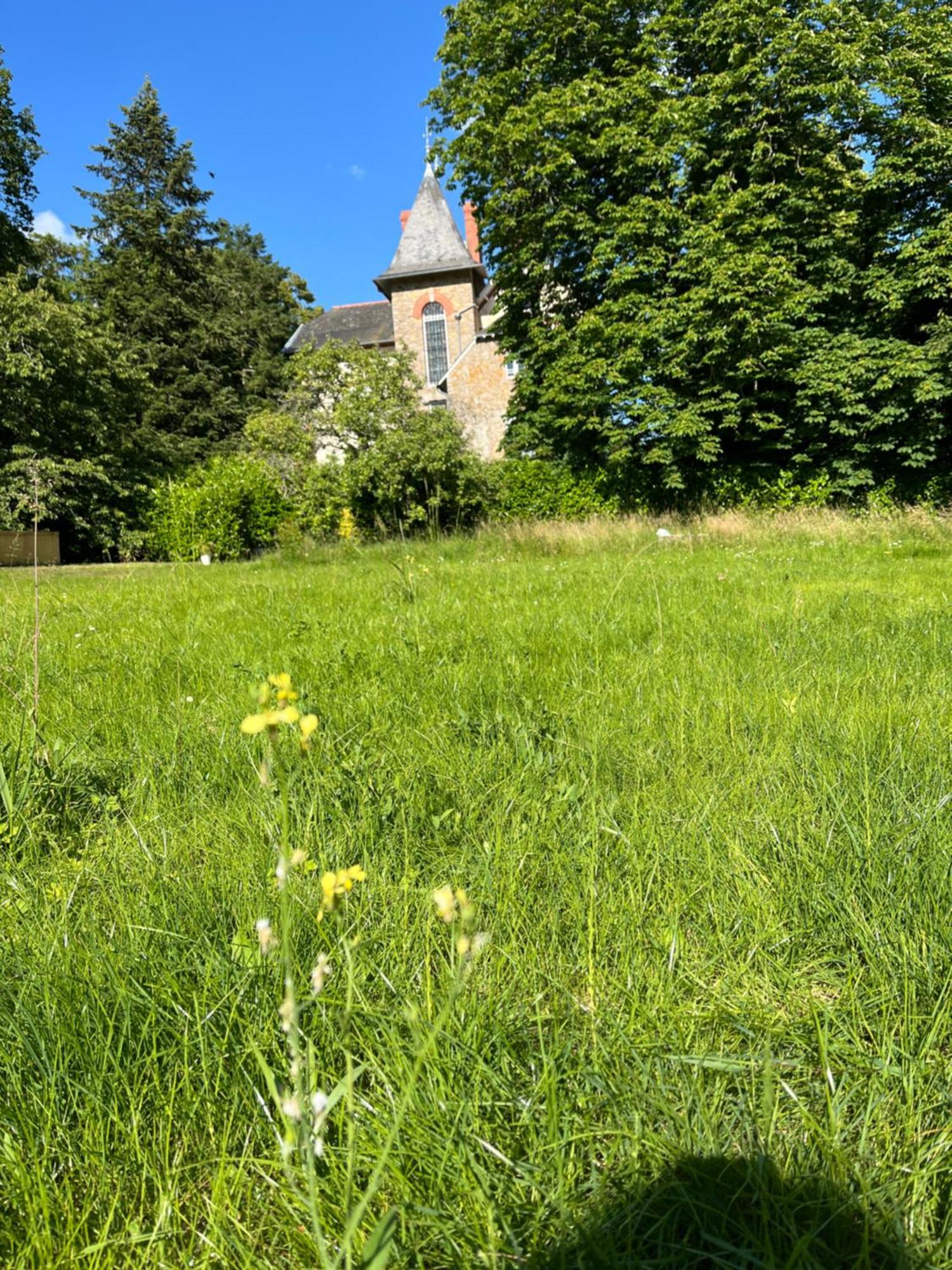Villa Meguinelle Grand-Fougeray Dış mekan fotoğraf